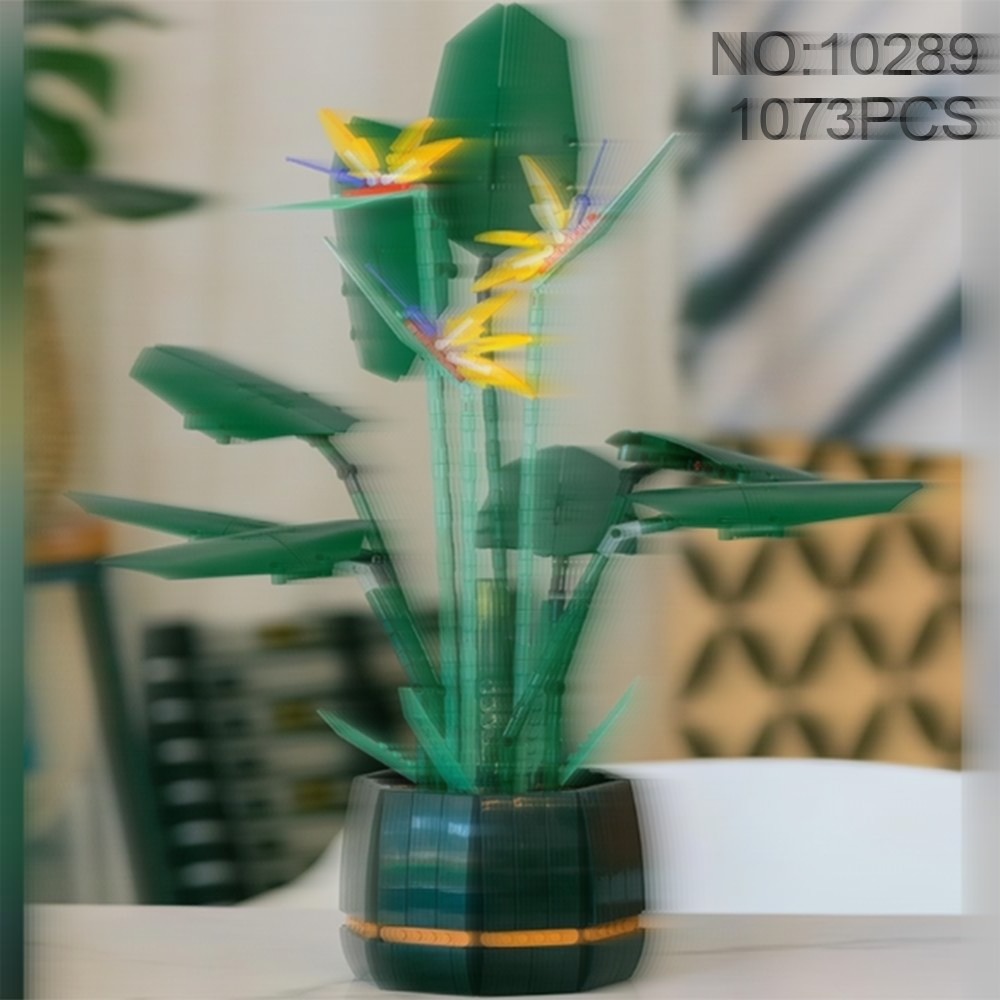 Wunderschönes Paradiesvogel-Bl – The Plant Parent Bewertung und Preis