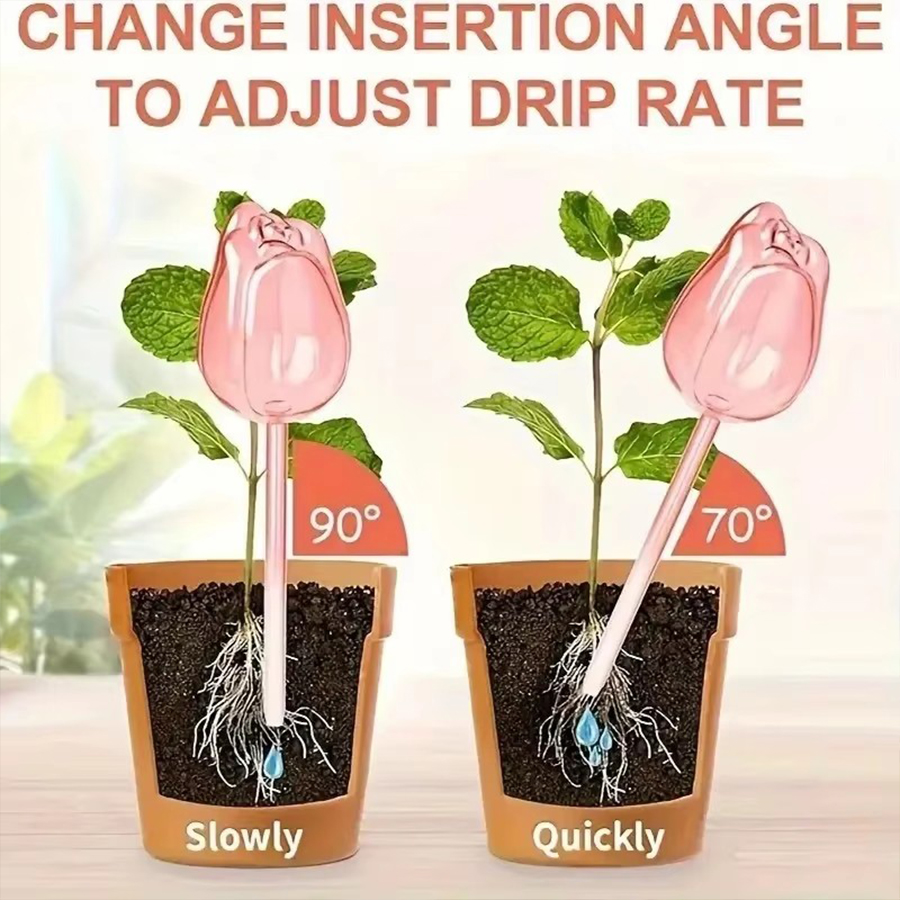 Transparenter, dicker PET-Tulp – Pothos Bewertung und Preis