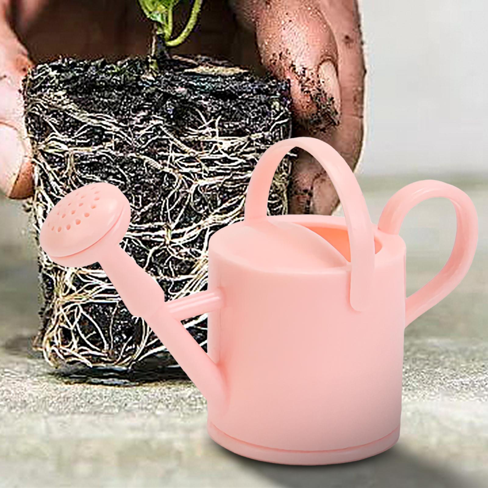 Kleine Gießkanne für Kinder, f – Succulent Set Bewertung und Preis