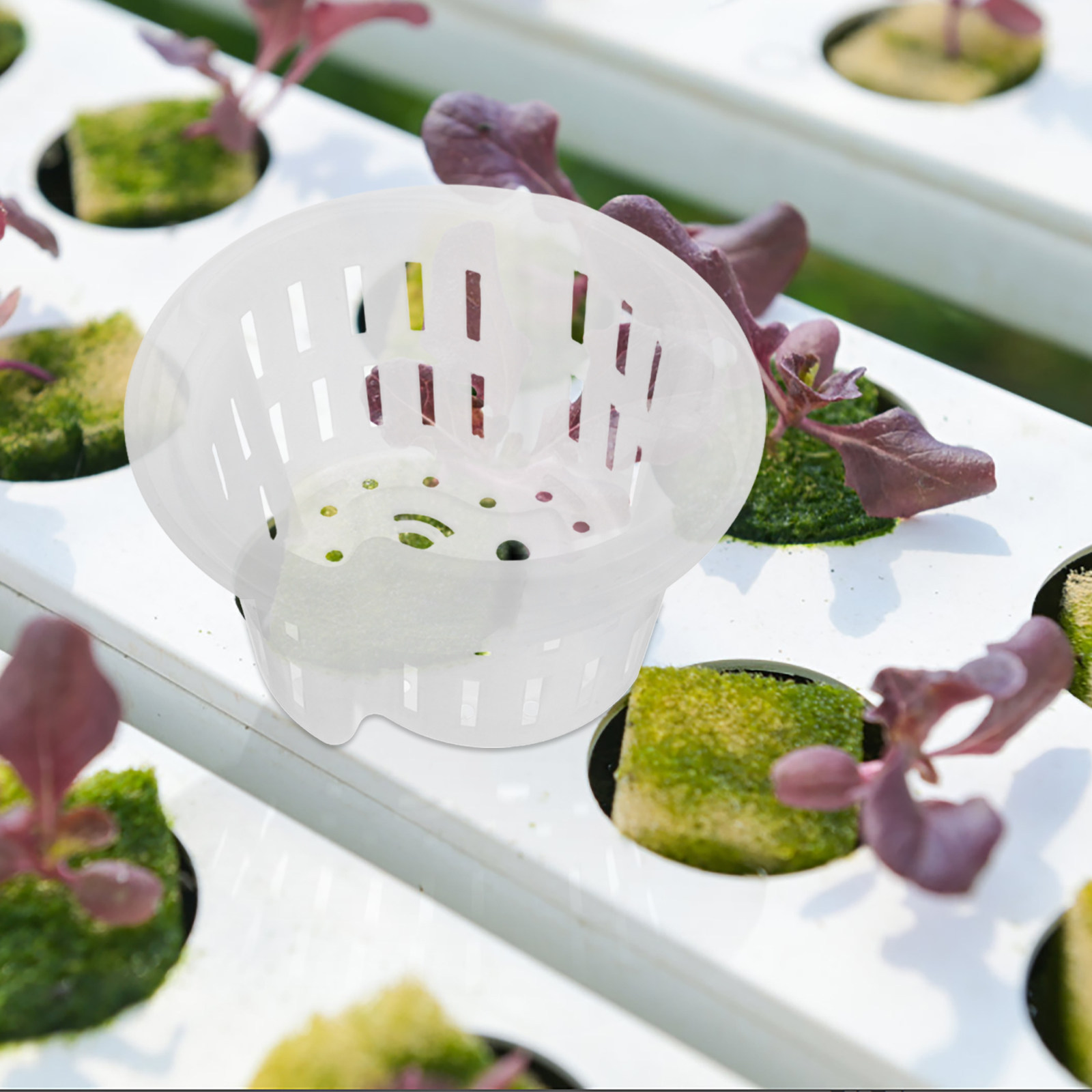 4 Stück Hydroponische Pflanzne – Plant Pot Bewertung und Preis
