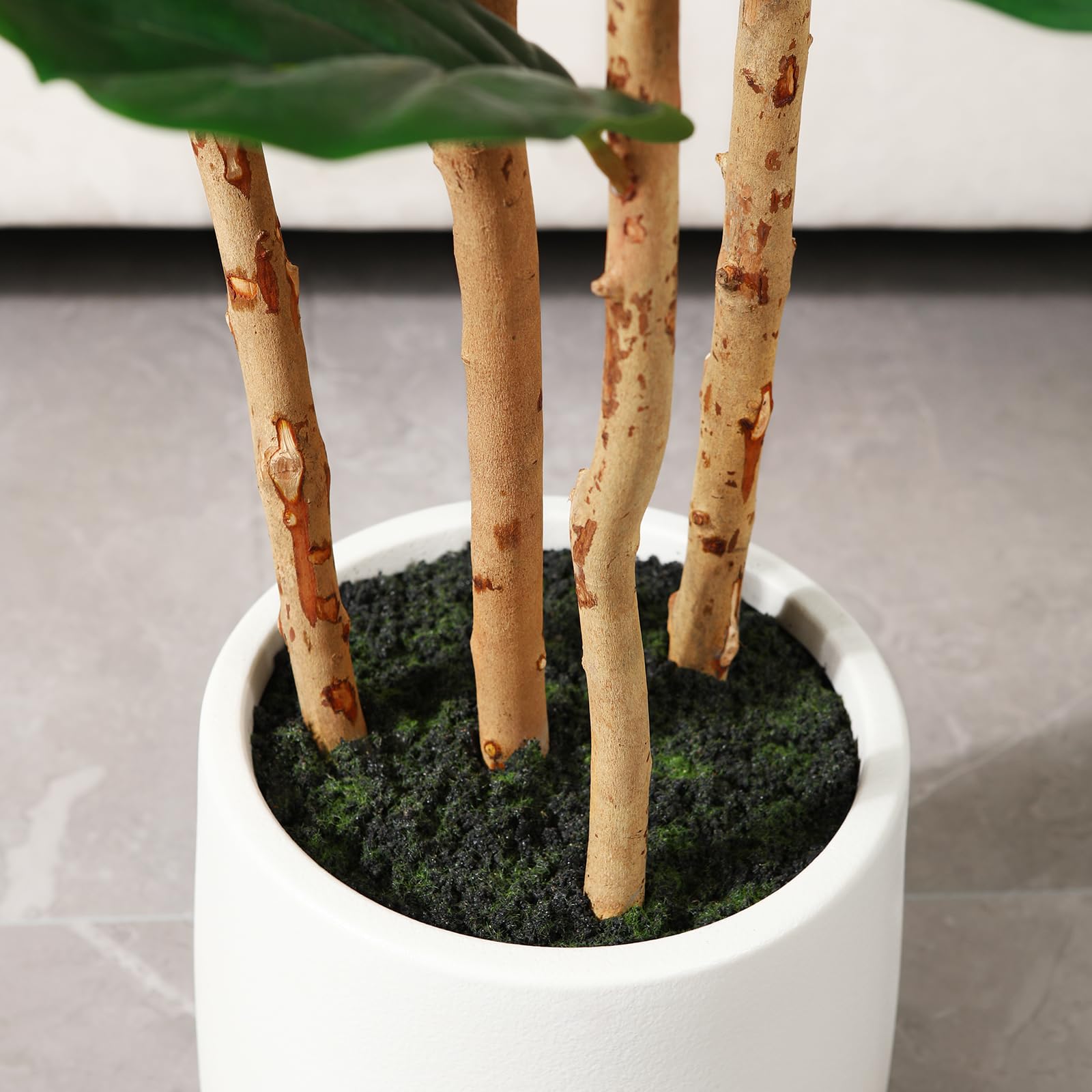 Künstlicher Fiddle-Leaf-Fig-Ba – Fiddle Leaf Fig Bewertung und Preis