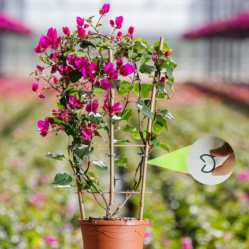 50/100 Stück Gartenpflanzencli – Plant Support Stake Bewertung und Preis