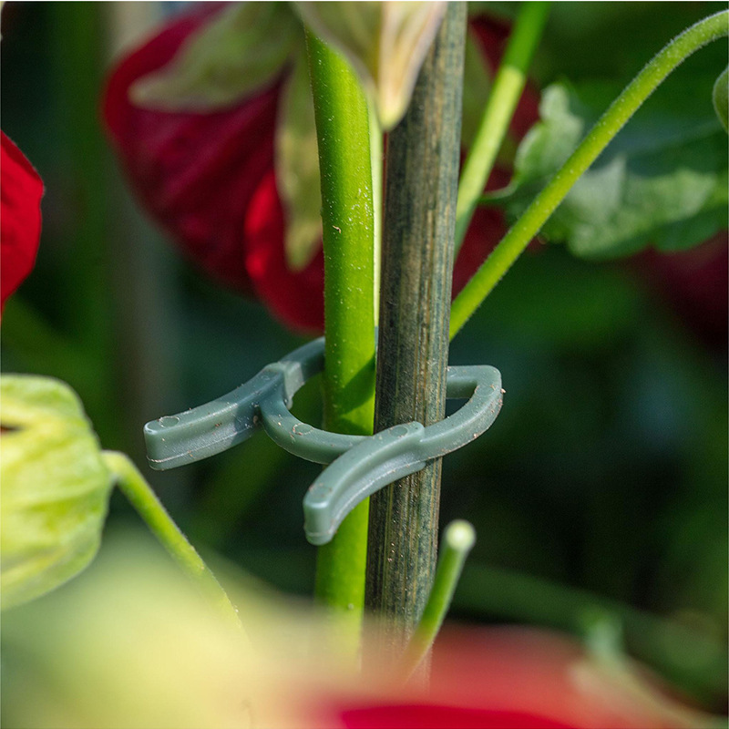 50/100 Stück Gartenpflanzencli – Plant Support Stake Bewertung und Preis