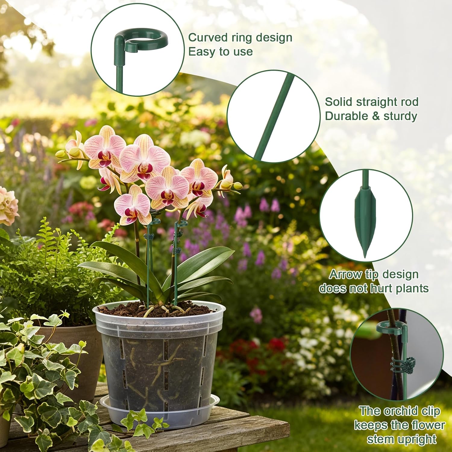 5/10 Stück Pflanzenstützstäbe, – Succulent Set Bewertung und Preis